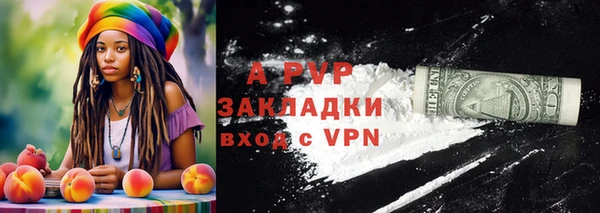 гидра Алексин