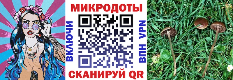 наркошоп  Дятьково  Галлюциногенные грибы прущие грибы 